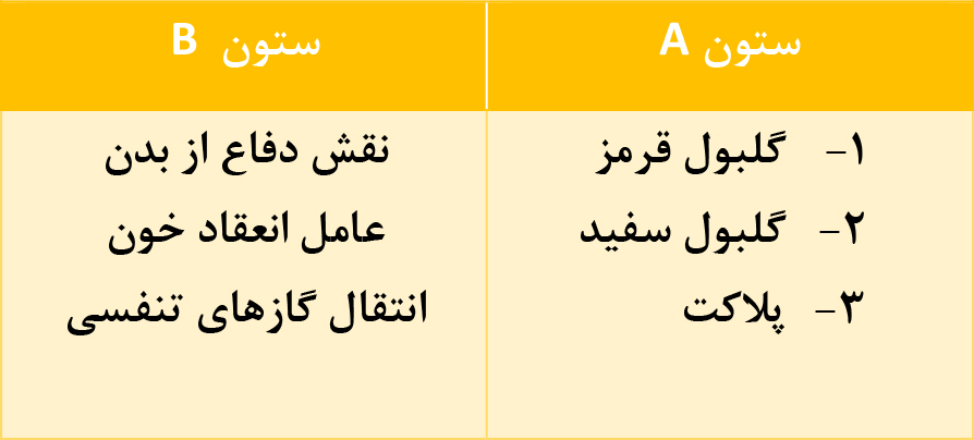 دریافت سوال 19