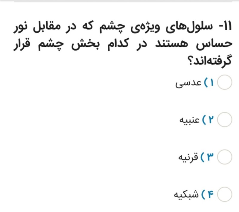 دریافت سوال 11