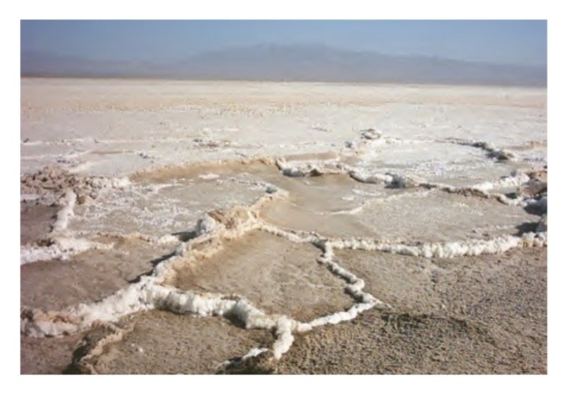 دریافت سوال 16