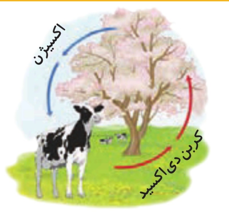 دریافت سوال 17