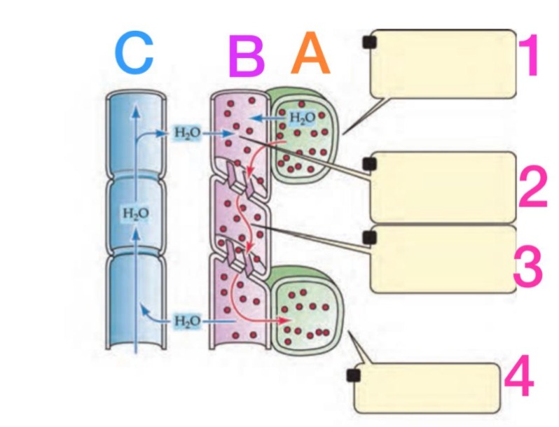 دریافت سوال 23
