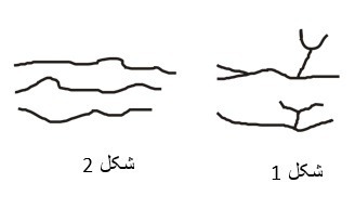 دریافت سوال 6