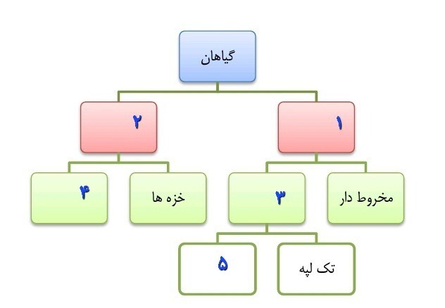 دریافت سوال 9