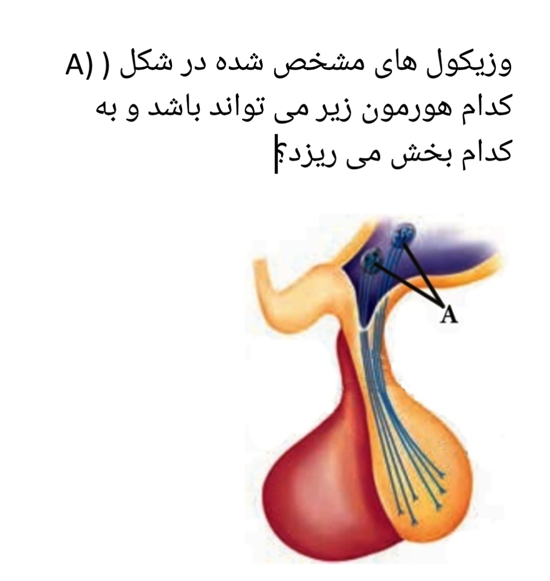 دریافت سوال 18