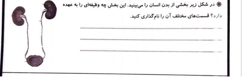 دریافت سوال 4