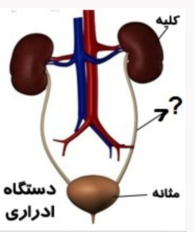 دریافت سوال 11