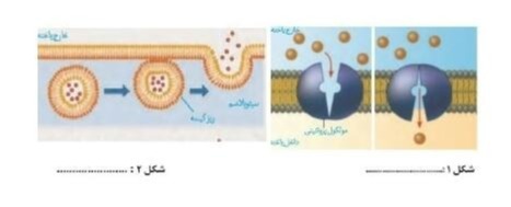 دریافت سوال 4