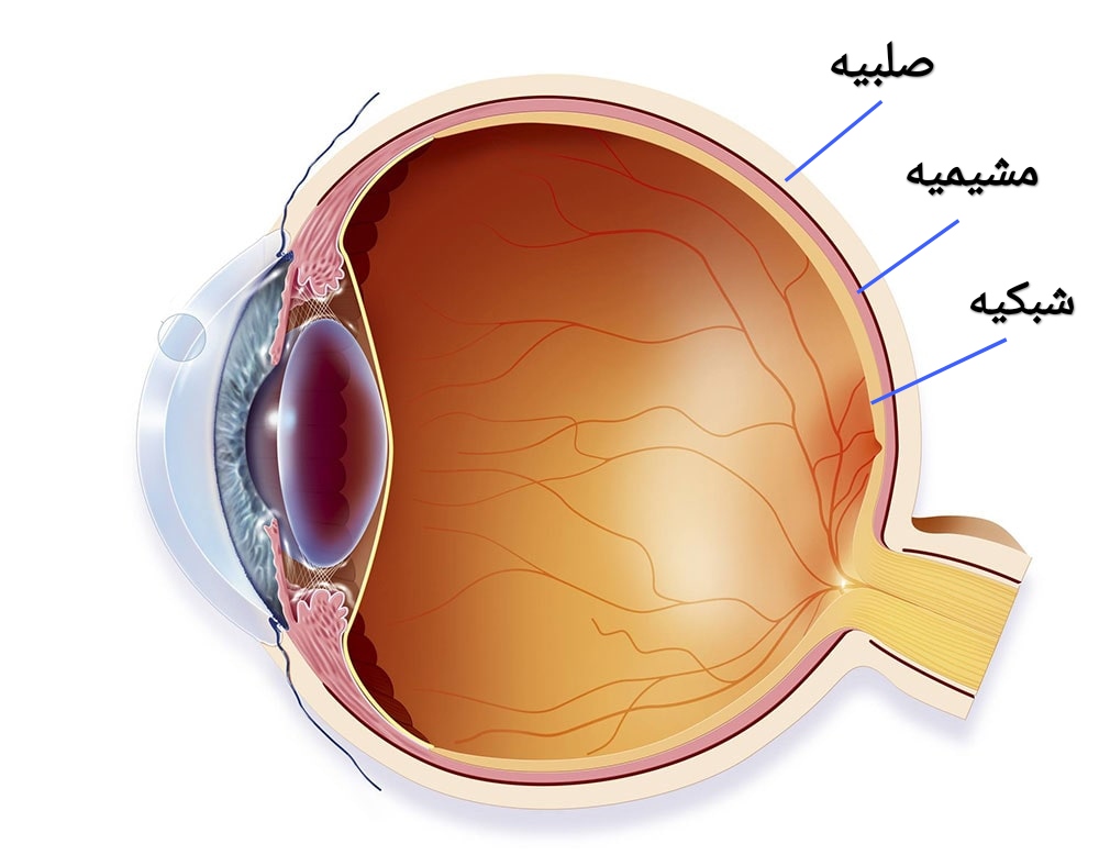 دریافت سوال 20