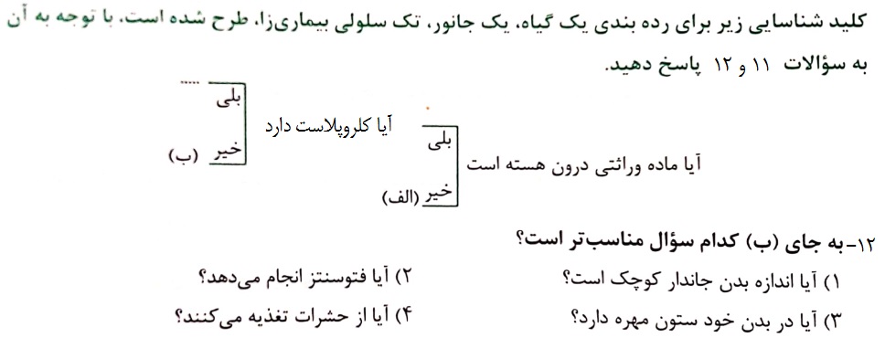 دریافت سوال 12