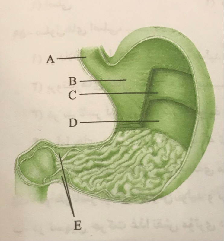 دریافت سوال 4