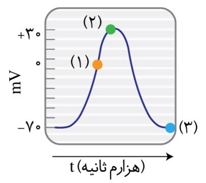 دریافت سوال 10