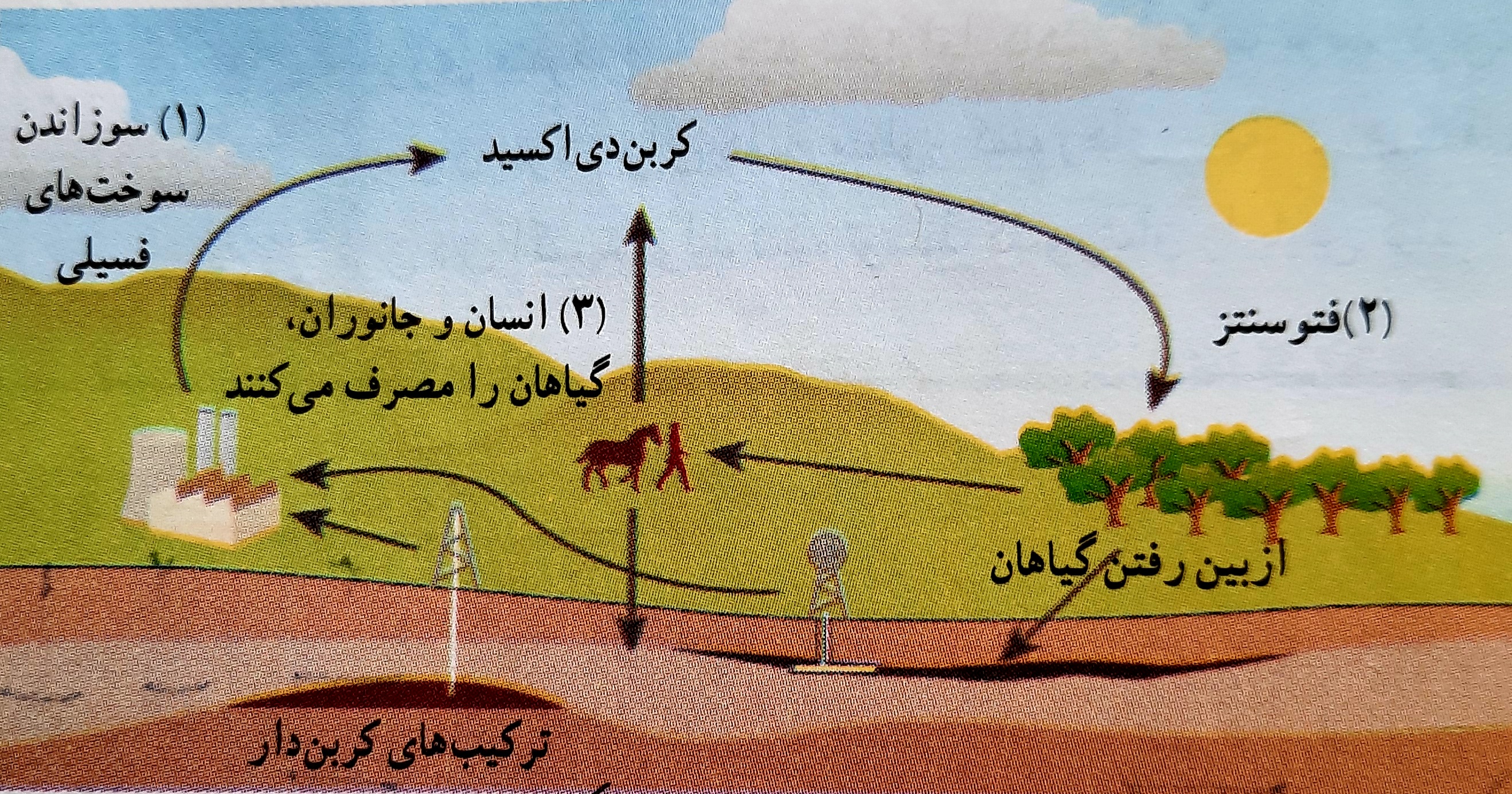 دریافت سوال 1