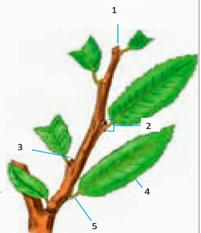 دریافت سوال 41