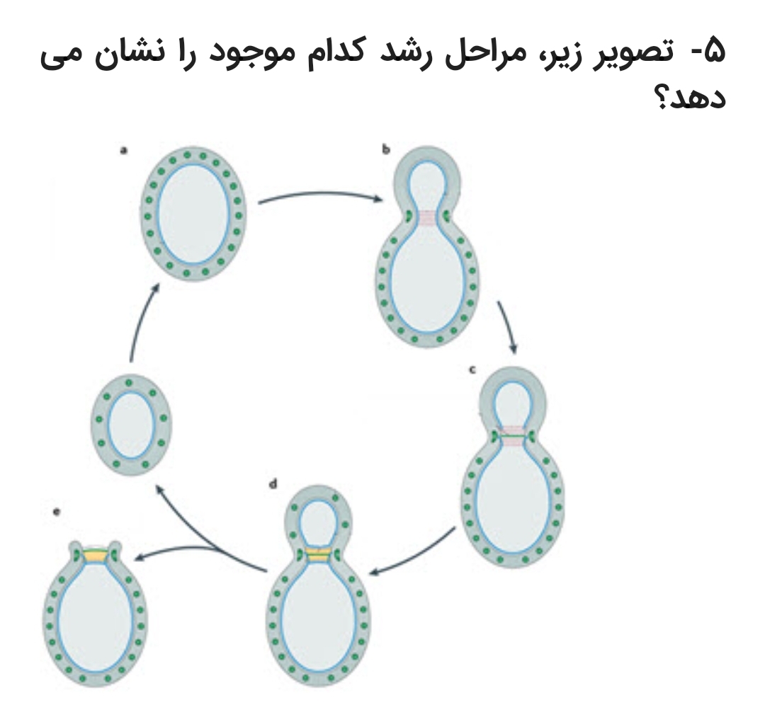 دریافت سوال 2