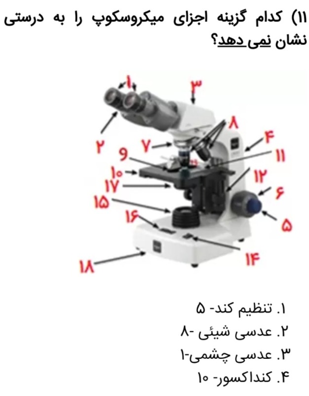 دریافت سوال 11