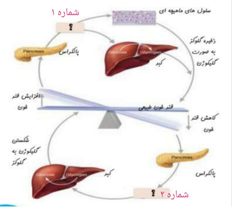 دریافت سوال 6