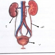 دریافت سوال 26