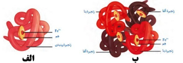 دریافت سوال 5