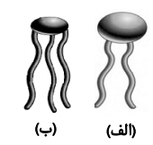 دریافت سوال 8