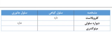 دریافت سوال 8