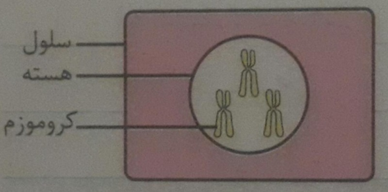 دریافت سوال 6