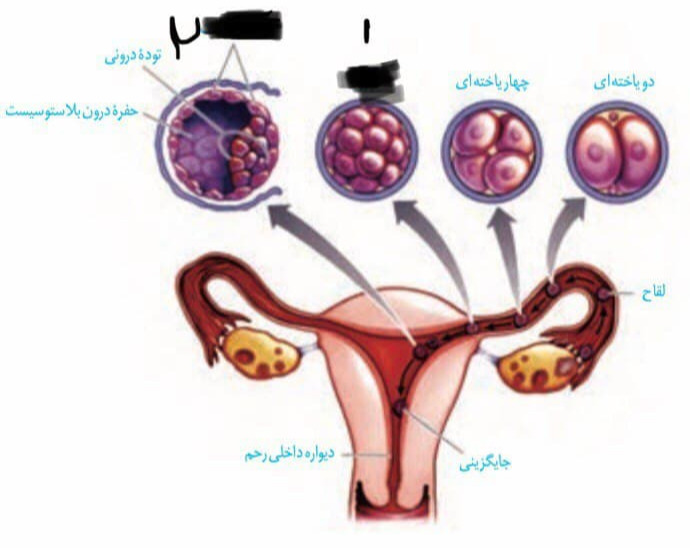 دریافت سوال 28