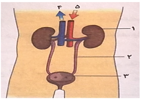 دریافت سوال 3