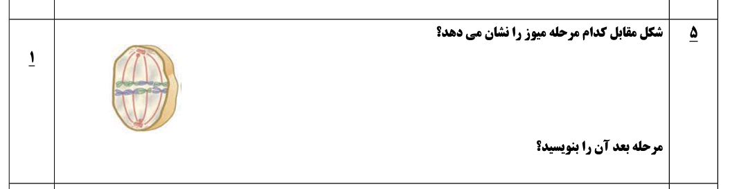 دریافت سوال 6