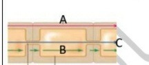 دریافت سوال 9