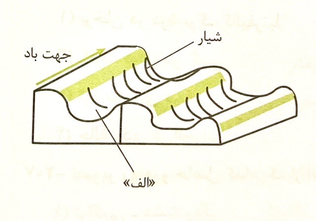 دریافت سوال 19