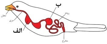 دریافت سوال 25