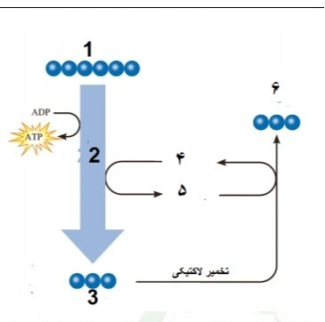 دریافت سوال 5