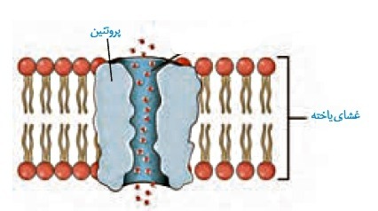 دریافت سوال 40