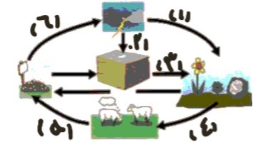 دریافت سوال 6