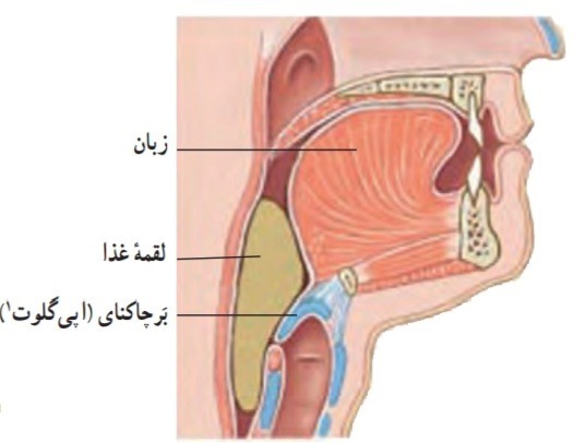 دریافت سوال 22