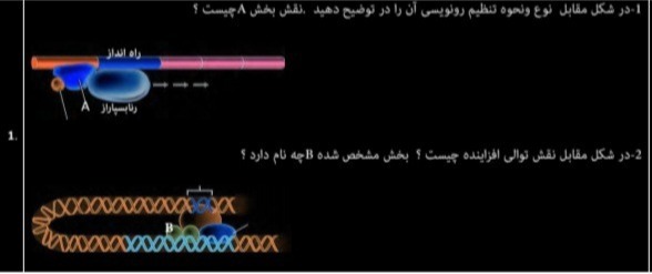 دریافت سوال 11