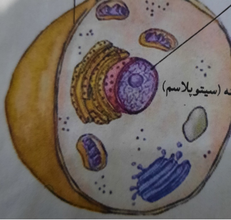 دریافت سوال 20