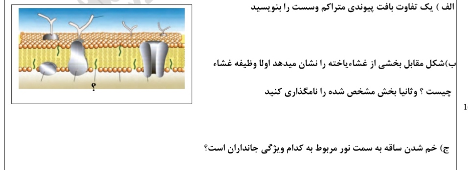 دریافت سوال 15