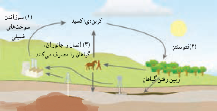 دریافت سوال 12