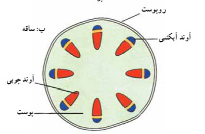 دریافت سوال 5