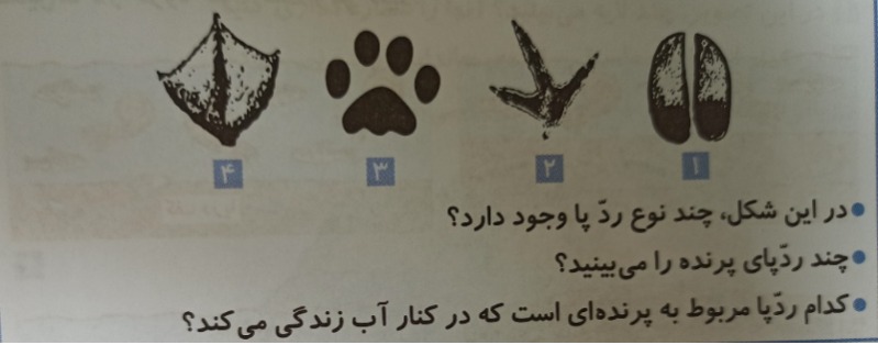 دریافت سوال 7