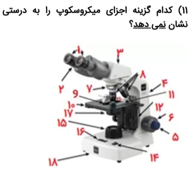 دریافت سوال 11