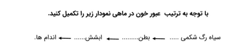 دریافت سوال 24