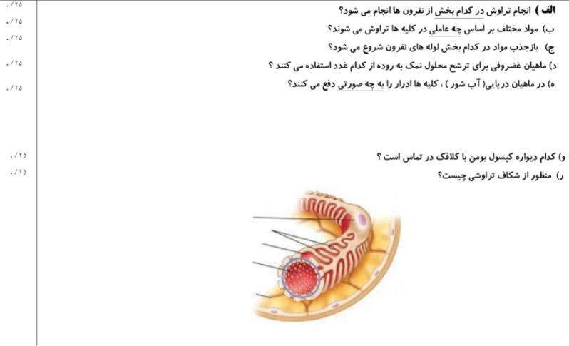 دریافت سوال 7