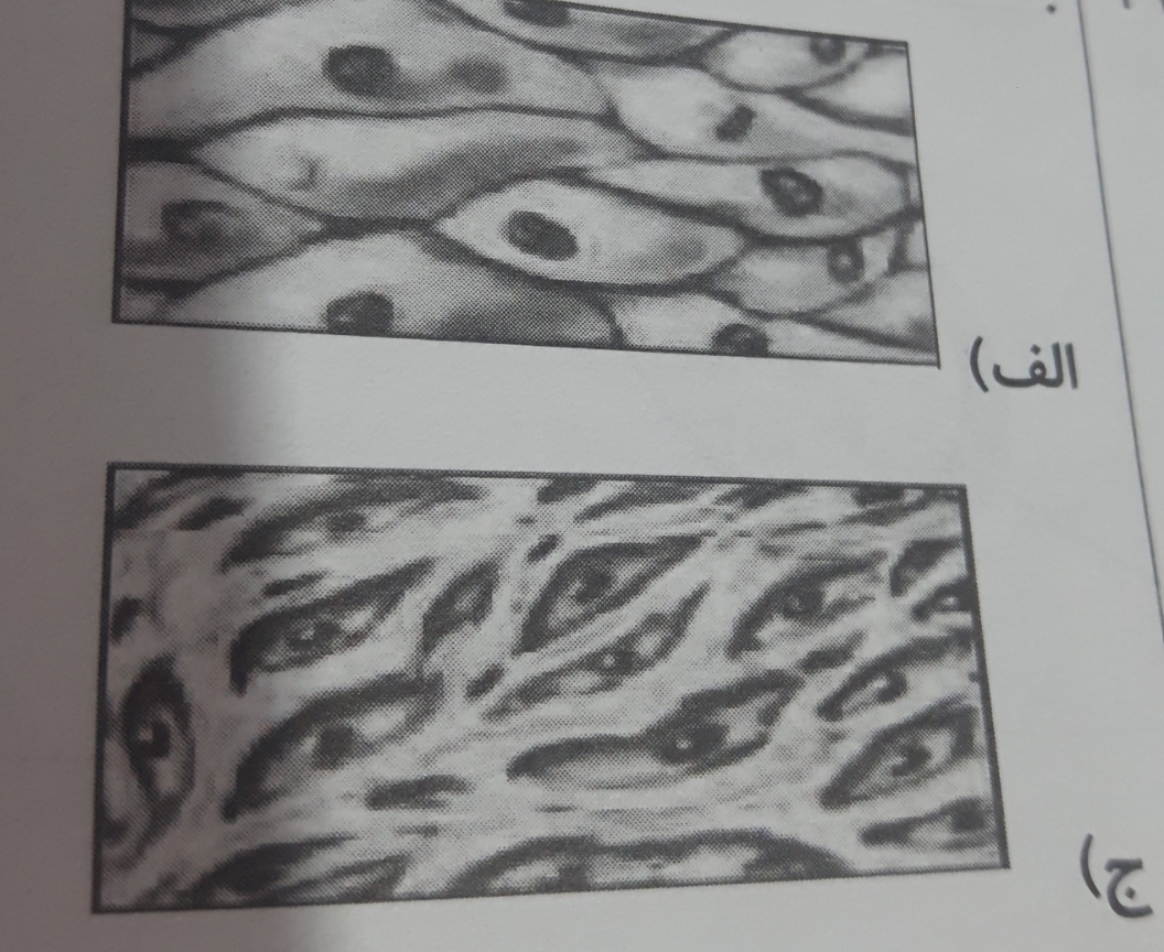 دریافت سوال 8