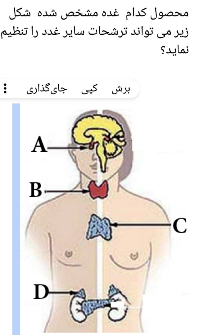 دریافت سوال 20