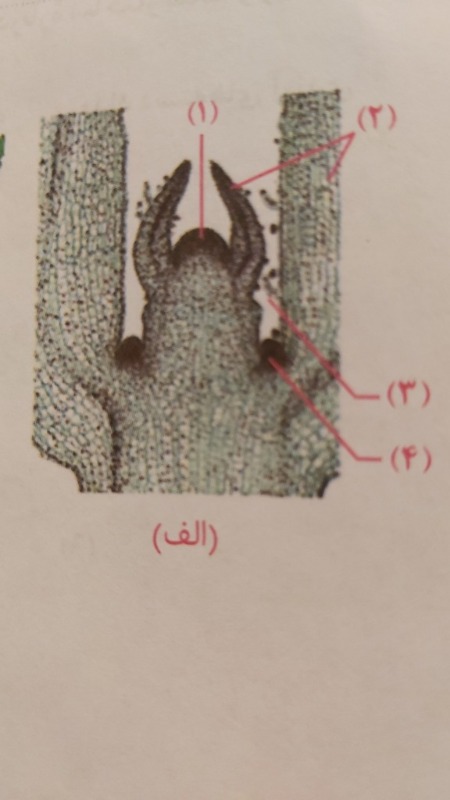 دریافت سوال 37