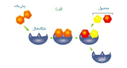 دریافت سوال 5