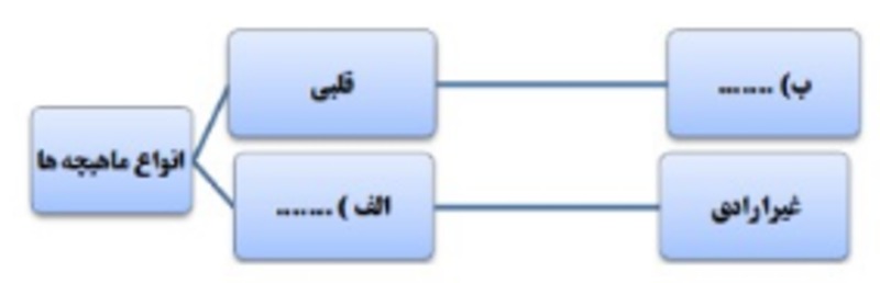 دریافت سوال 20