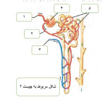 دریافت سوال 20